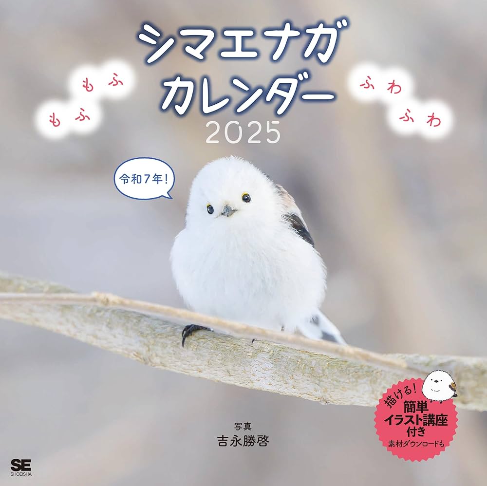 シマテナガ★プロフ必読‼️ もふもふふわふわシマエナガ カレンダー 2025 (翔泳社カレンダー